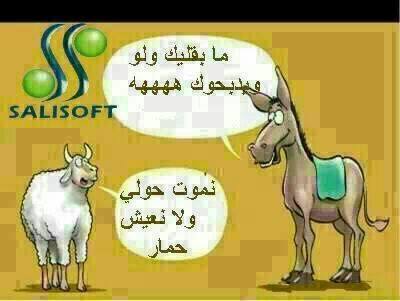 نكت مغربية مضحكة جدا 2020