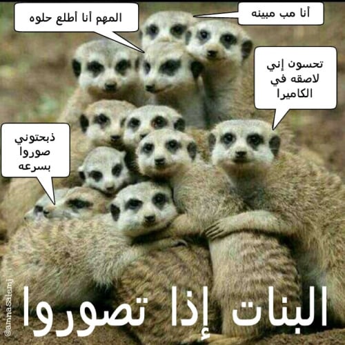 نكت مكتوبة على الصور