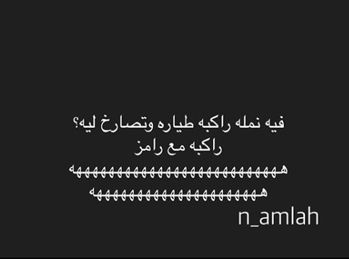 نكت نمل ٢٠٢٠