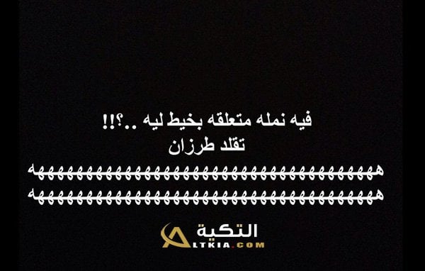 نكت نمل ٢٠٢٠