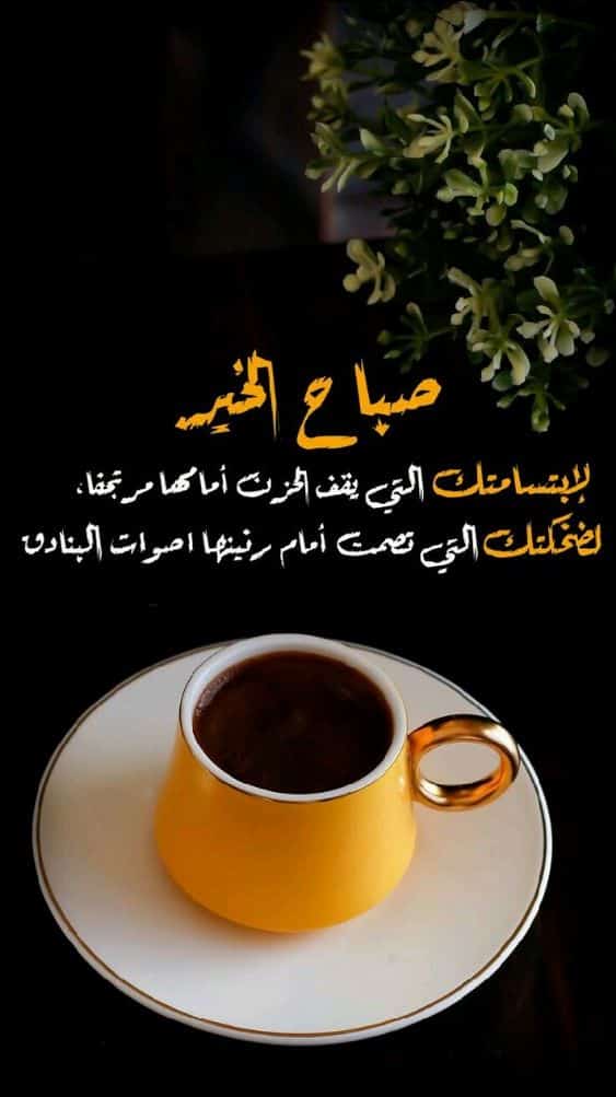 أجمل كلمات صباحية جميلة