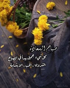 أجمل كلمات صباحية جميلة