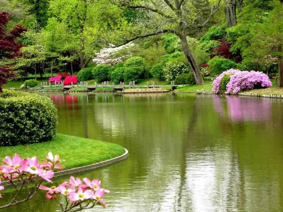 أجمل مناظر طبيعية في سويسرا