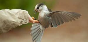 اذاعة مدرسية عن الرحمة