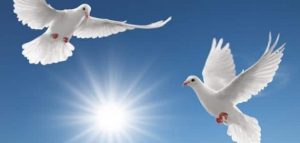 اذاعة مدرسية عن السلام