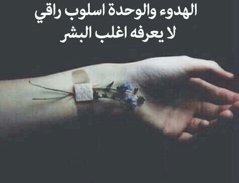 اقوال وحكم عن الهدوء
