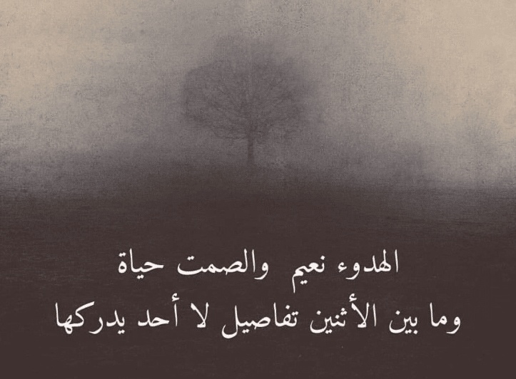 اقوال وحكم عن الهدوء