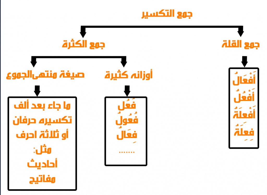 امثلة عن جمع التكسير