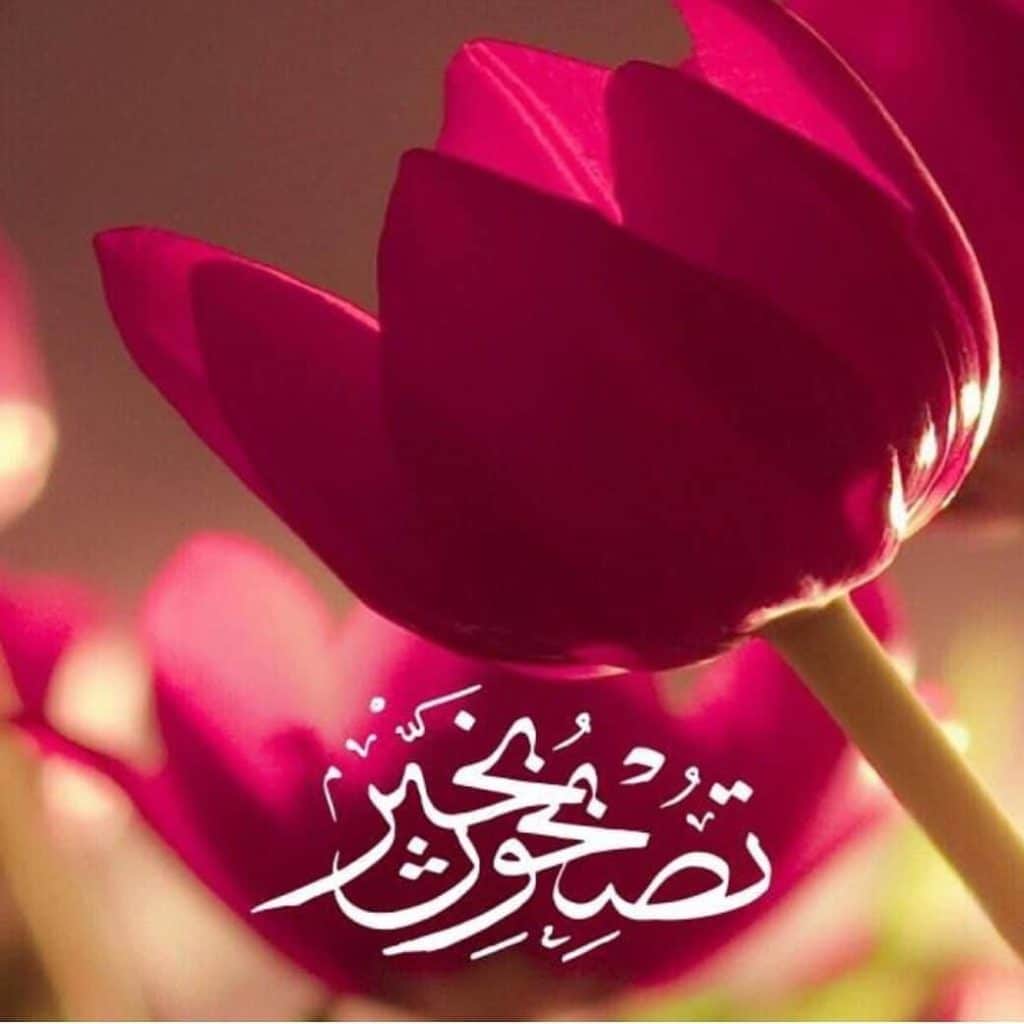 تصبح على خير بالفرنسي
