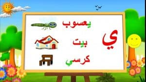 جمل فيها مد بالياء