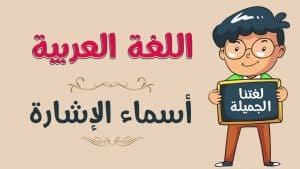 جمل فيها هذا وهذه