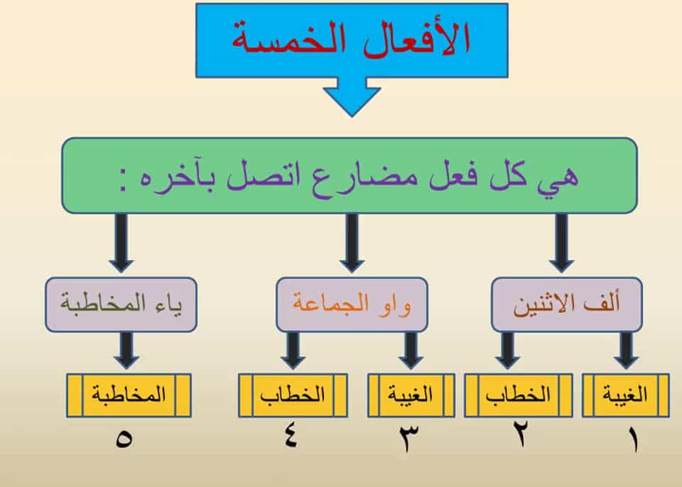 جمل فيها ياء المخاطبة