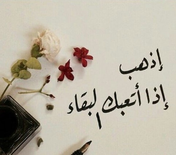 خواطر حب راقية