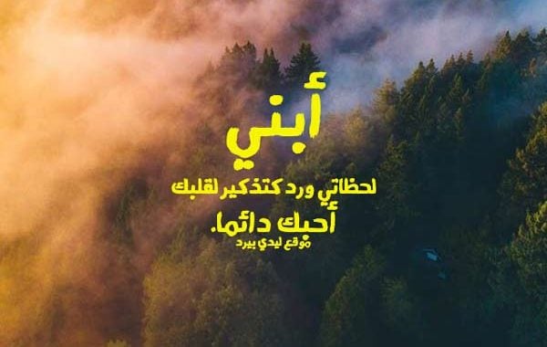 خواطر عن الابن