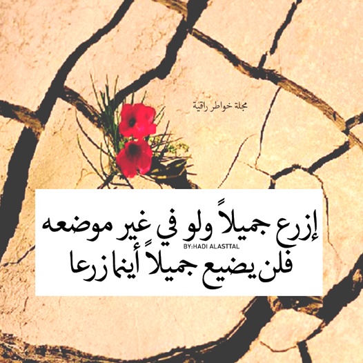 خواطر عن الثقة بالله