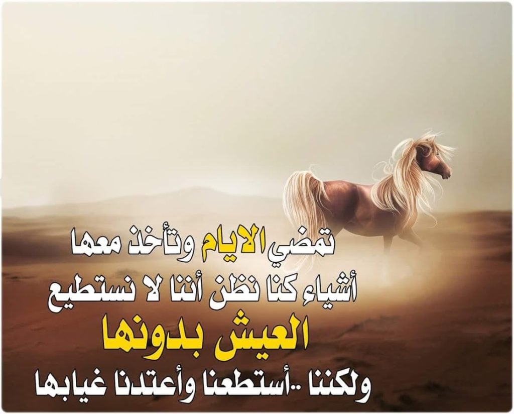 خواطر عن الثقة