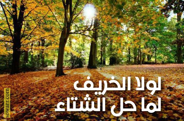 خواطر عن الخريف
