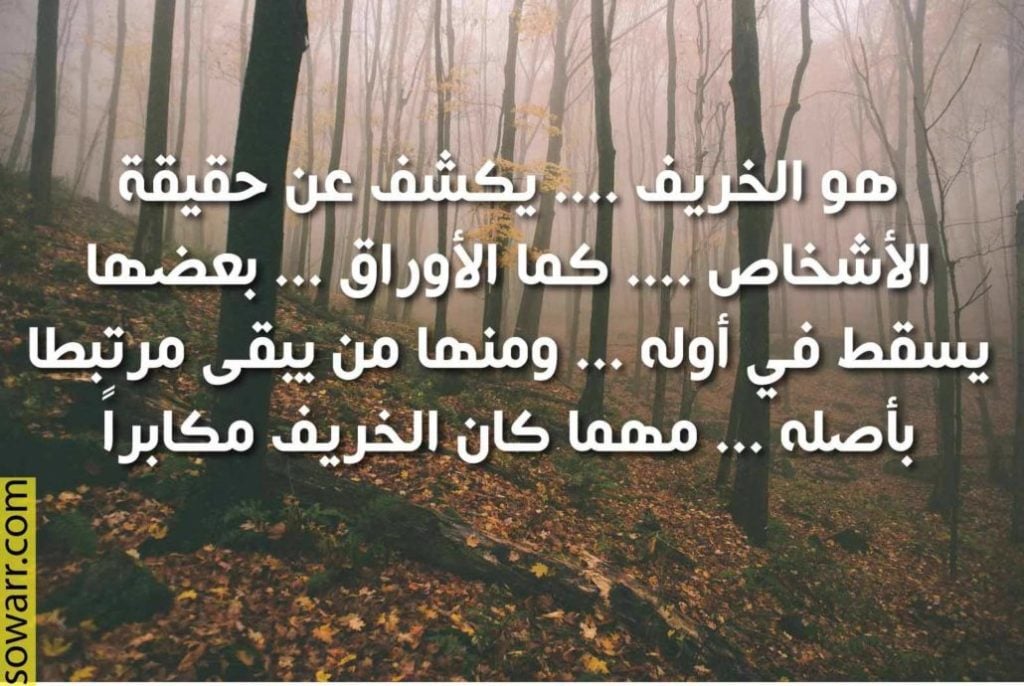 خواطر عن الخريف