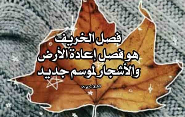 خواطر عن الخريف