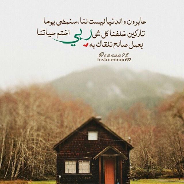 خواطر عن الدنيا الفانية