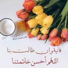 خواطر عن الدنيا الفانية