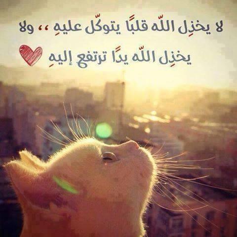 خواطر عن الدين