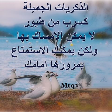 خواطر عن الذكريات