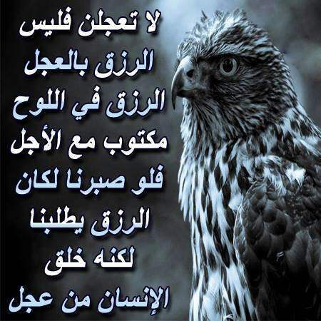 خواطر عن الرزق