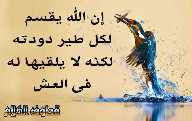 خواطر عن الرزق