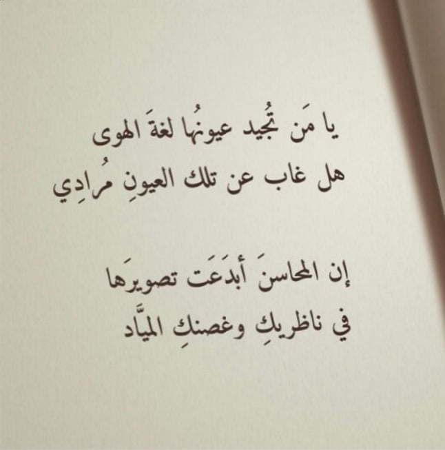 خواطر عن الرسام