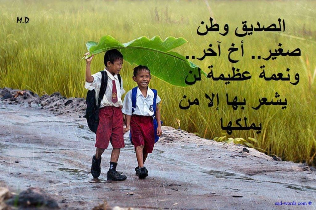 خواطر عن السند