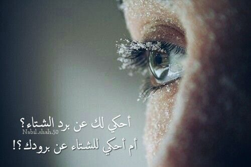 خواطر عن الشتاء