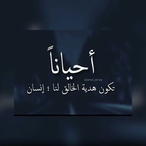 خواطر عن الصديق الوفي