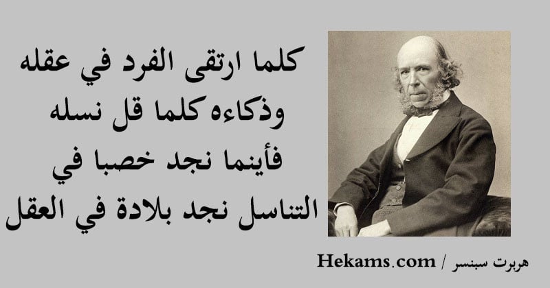 خواطر عن العقل والقلب