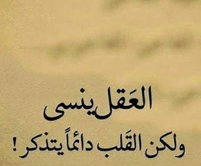 خواطر عن العقل والقلب