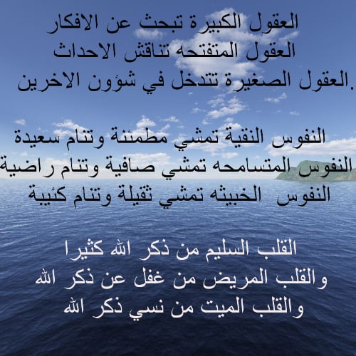 خواطر عن العقل والقلب