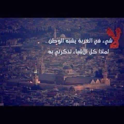 خواطر عن الغربة