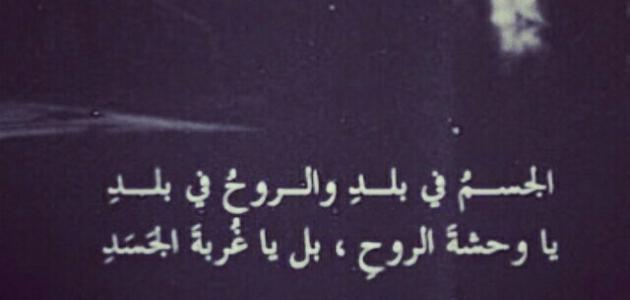 خواطر عن الغربة