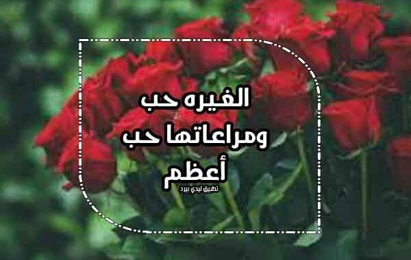 خواطر عن الغيرة