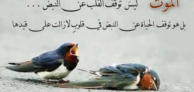 خواطر عن الموت