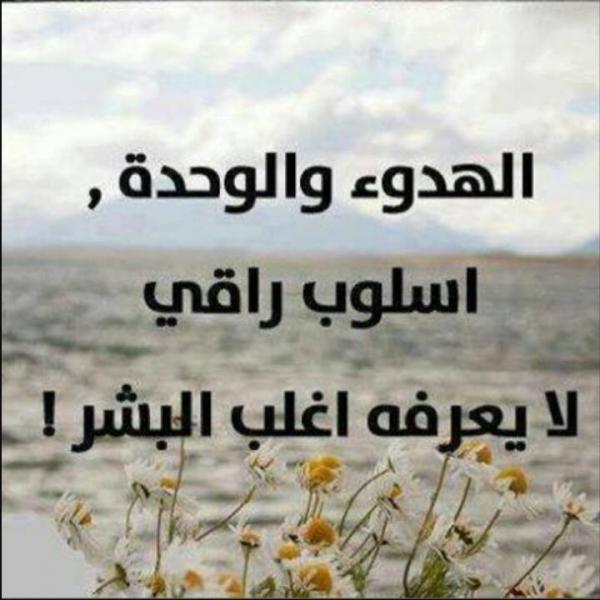 خواطر عن الهدوء