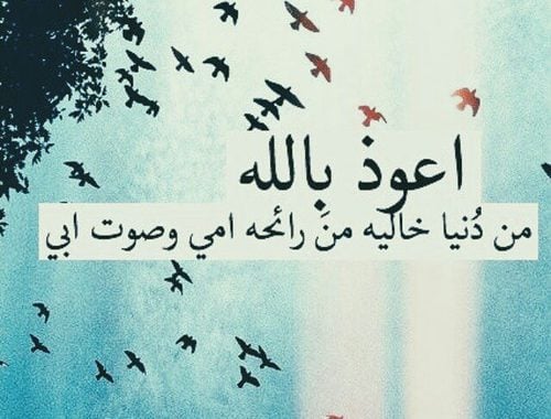خواطر عن الوالدين