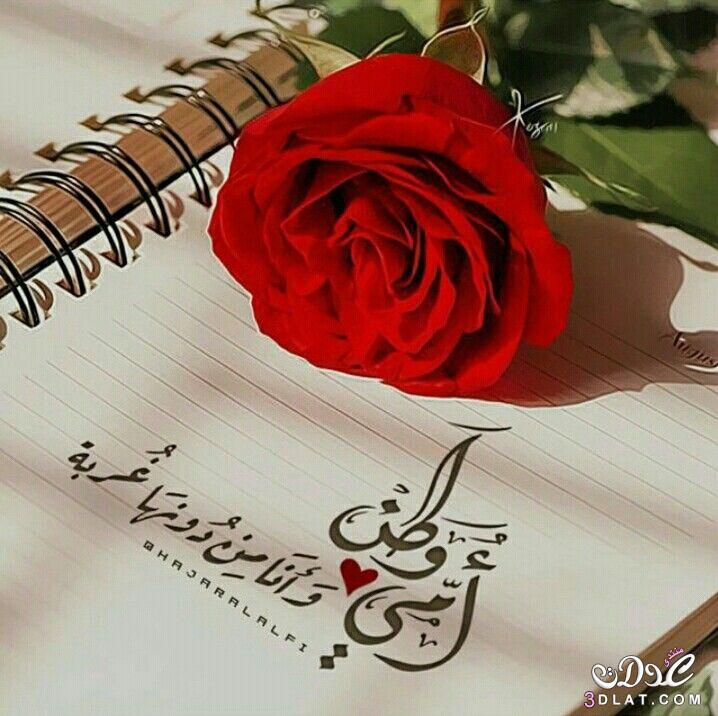 خواطر عن الوالدين
