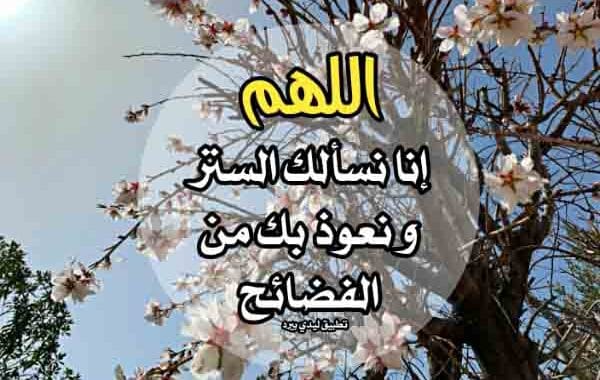 دعاء الستر من الفضيحة