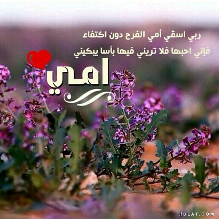 دعاء لامي بالحج