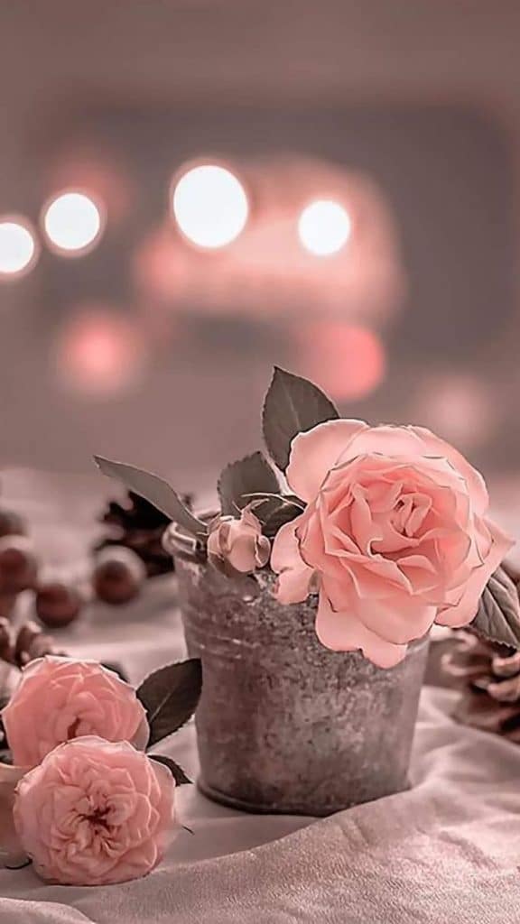 رمزيات جديدة