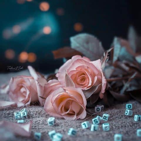 رمزيات جديدة