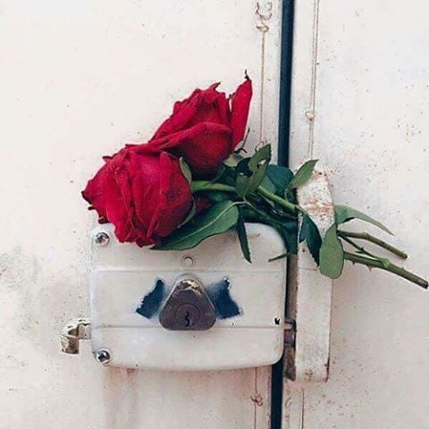 رمزيات جديدة