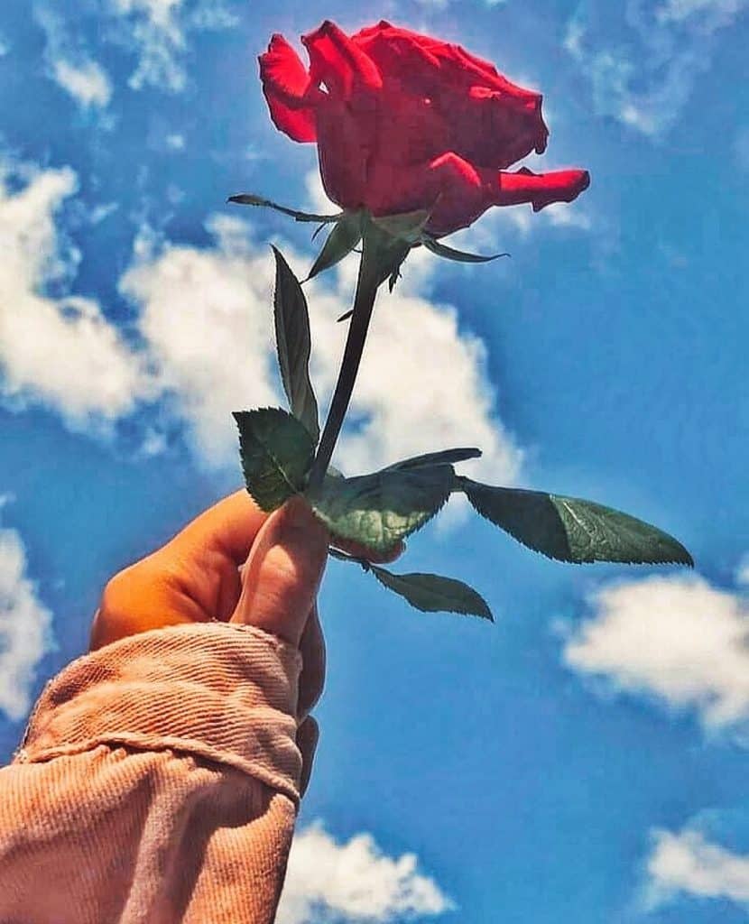 رمزيات جديدة