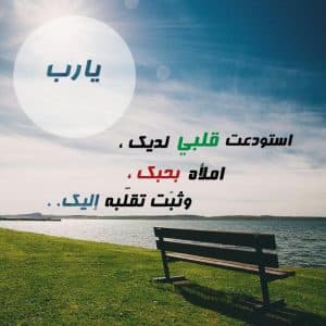 رمزيات جديدة